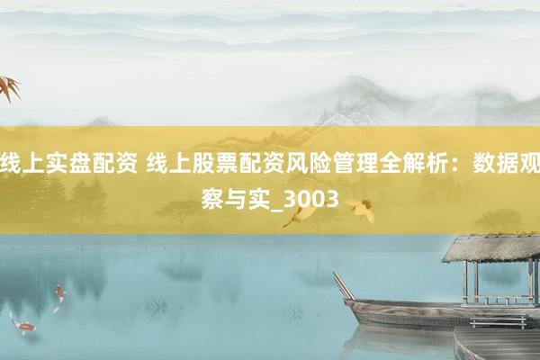 线上实盘配资 线上股票配资风险管理全解析：数据观察与实_3003