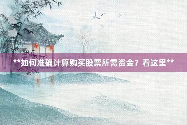 **如何准确计算购买股票所需资金？看这里**