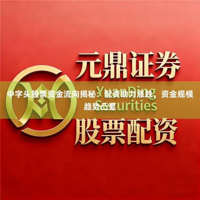 中字头股票资金流向揭秘：配资助力涨跌，资金规模趋势凸显