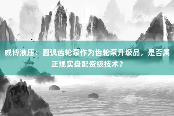 威博液压：圆弧齿轮泵作为齿轮泵升级品，是否属正规实盘配资级技术？