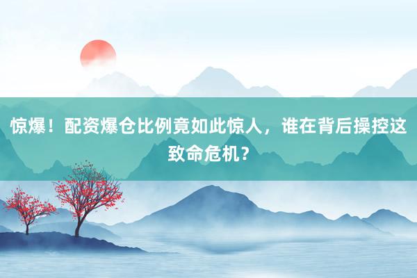 惊爆！配资爆仓比例竟如此惊人，谁在背后操控这致命危机？