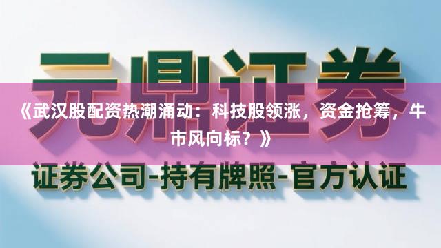 《武汉股配资热潮涌动：科技股领涨，资金抢筹，牛市风向标？》
