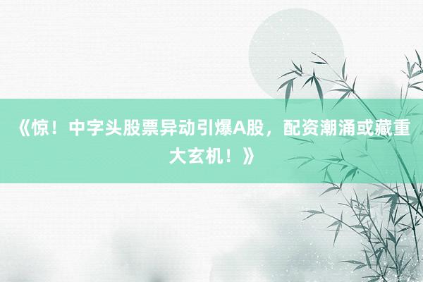《惊！中字头股票异动引爆A股，配资潮涌或藏重大玄机！》