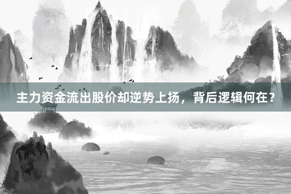 主力资金流出股价却逆势上扬，背后逻辑何在？