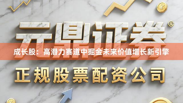 成长股：高潜力赛道中掘金未来价值增长新引擎