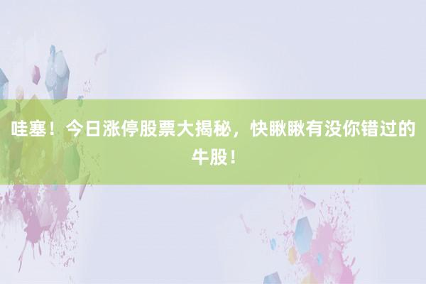 哇塞！今日涨停股票大揭秘，快瞅瞅有没你错过的牛股！