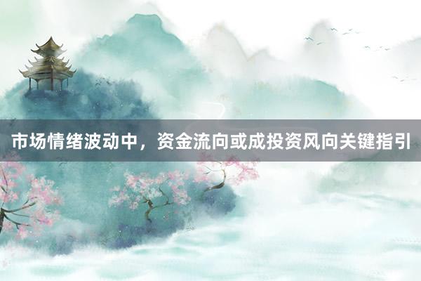 市场情绪波动中，资金流向或成投资风向关键指引